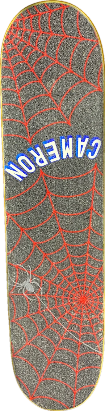 Custom Whirly Board: spider web design with the name Cameron