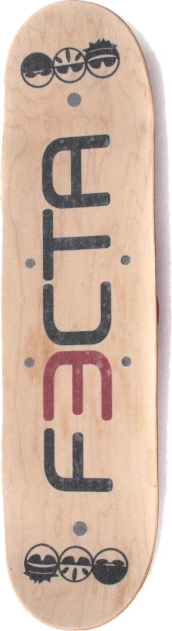 Custom Whirly Board: Fecta company logo